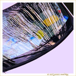 Pare-brise au Soleil d'hiver -- 09/03/21
