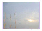 Le ciel est triste et beau comme un grand reposoir -- 20/03/07