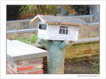 Non non, petits Oiseaux&nbsp;! C'est pour le Facteur&nbsp;! -- 10/02/05