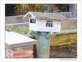 Non non, petits Oiseaux ! C'est pour le Facteur ! -- 10/02/05