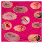 Naissance. Premiers sourires. Premiers dialogues. La Bouche.