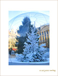 Plaisirs d'hiver 2005 -6- -- 24/12/05