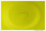 Bouton anis�