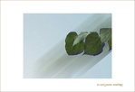 Brouillard, brouill�, brouillon... -- 07/10/05