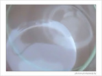Bulles de verres -- 05/06/08