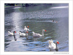 Sous les fontaines -- 18/06/05