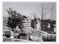 Capharna�m en 1966 -1- -- 30/11/09