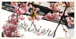 Quand les Rues de Bruxelles se japonisent - 004 - 2021 -- 30/04/21