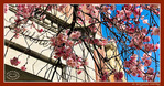 Quand les Rues de Bruxelles se japonisent - 001 - 2025 - -- 05/04/25