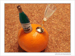 Vos r�solutions pour 2008�? -- 02/01/08