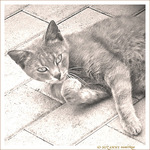 Chat pause