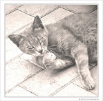 Chat pause -- 01/08/10