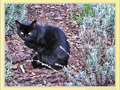 Regard d'Automne -- 15/11/11
