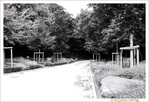 Par les Chemins... -- 01/08/17