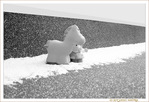 Pauvre P'tiTrot, tu es Perdu�! -- 25/03/13