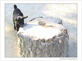Sauter le pas�? -- 18/10/04