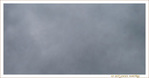 Journ�e du 16 novembre 2006 -- 19/11/06
