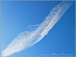 Et il neige -- 20/12/10