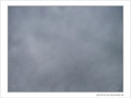Journ�e du 16 novembre 2006 -- 19/11/06