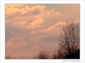 Ciel - Froid - 16h30 -- 17/12/07