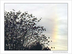 Arc-en soleill� d'automne
