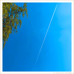 Envol -- 30/05/24