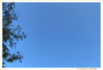 Le Ciel Mi-Novembre 2019 -- 19/11/19