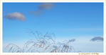 Au Vent l�ger -- 05/02/21