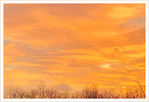 Coucher de Soleil - 011 - -- 08/02/24