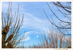 Par un apr�s-midi Ensoleill� - janvier 2022 -- 16/01/22