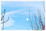 Lune Gibbeuse Croissante - janvier 2022 -- 19/01/22