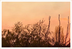 V'l� l'Automne 2025 -03- -- 29/11/25