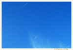 Pique et Plume -- 25/02/09