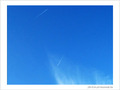 Pique et plume -- 25/02/09