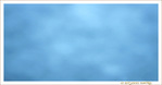 Pr�visions 2011 -- 30/12/10