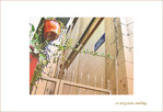 Impasse du Chapelet -1- -- 28/03/06