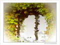 Cocooning -- 19/09/07