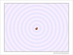 Touch� coeur