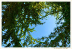 Copain Copain -- 09/01/20
