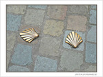 Coquille Saint-Jacques -16-17 -- 02/12/08