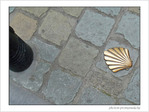 Coquille Saint-Jacques -19 -- 07/02/09