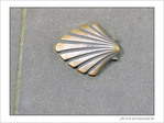 Coquille Saint-Jacques -21 -- 02/06/09