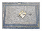 Coquille Saint-Jacques -24 -- 03/06/09