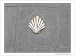 Coquille Saint-Jacques -33 -- 06/06/09