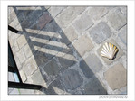 Coquille Saint-Jacques -35 -- 06/06/09