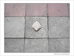 Coquille Saint-Jacques -38 -- 07/06/09