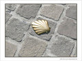 Coquille Saint-Jacques -4 -- 18/02/07