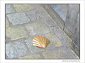 Coquille Saint-Jacques -5 -- 15/03/07