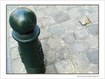 Coquille Saint-Jacques -8 -- 19/04/07