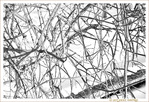 S'emm�ler et se D�m�ler -- 12/02/13